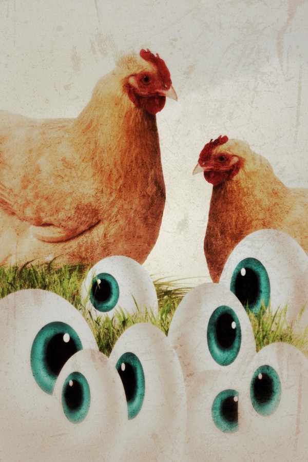 Chicken eyes by Dagmar Marina